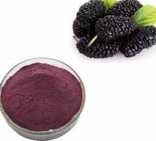 Mulberry Powder Coating for Natural Skin Benefits