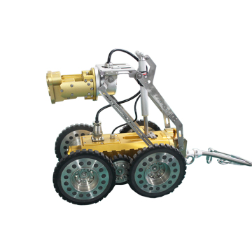 Sewer Detection Crawling Robot System