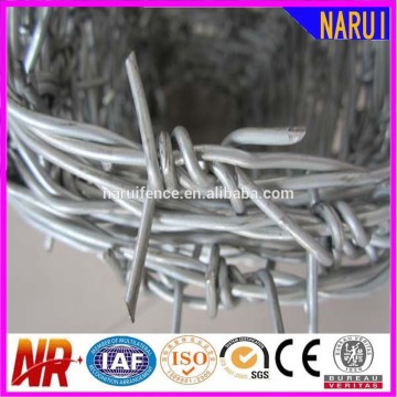 Barbed Wire Partition
