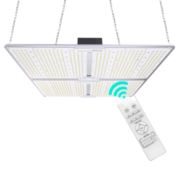 Bieten Sie drahtlose Fernbedienung Grow Light 100W, LED