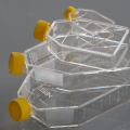 T75 Cell culture flasks for suspension cells