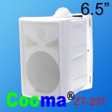 Speaker System Fidelity