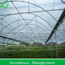 Good Price Greenhouses Growing Vegetable
