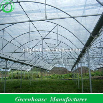 Good Price Greenhouses Growing Vegetable