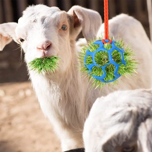 Silikon häst behandla boll långsam foder boll