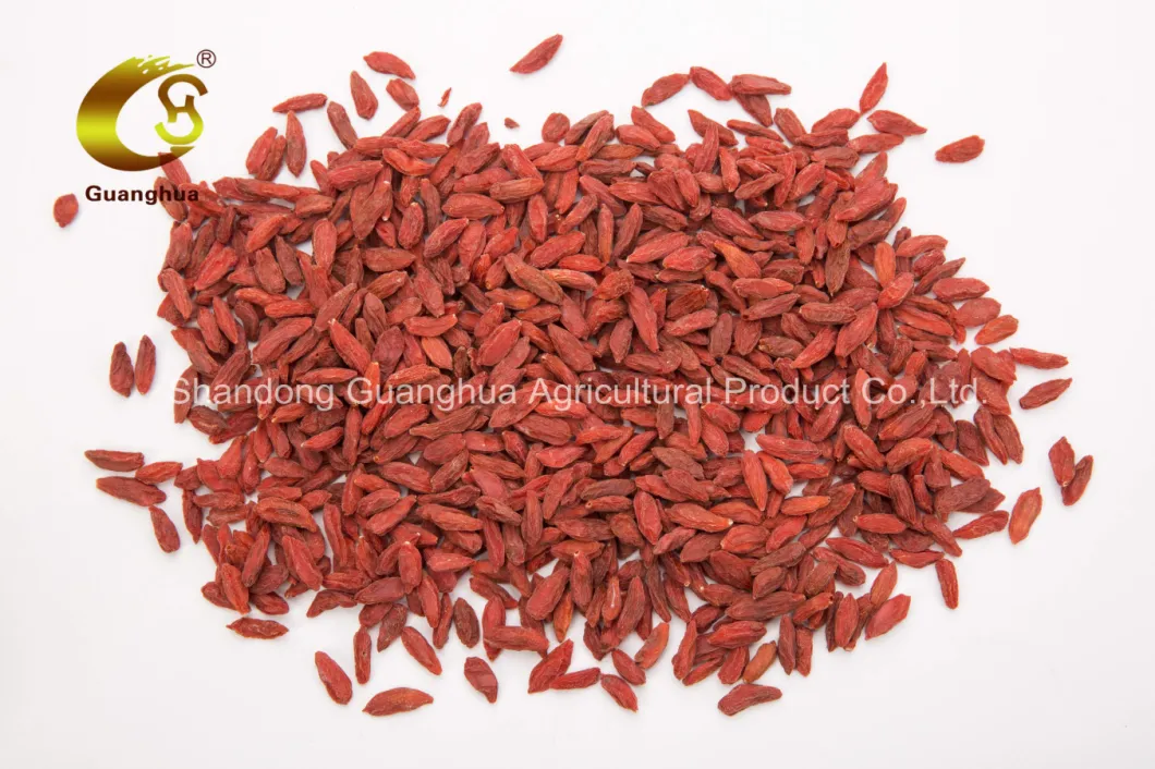 Perfect Hot Sale Dried Goji Berry From China