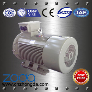 High Efficiency Electric Motors