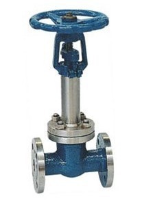 Cryogenic Gate Valves (Z41H)