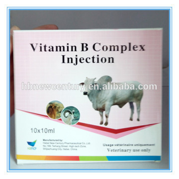 Nutrition veterinary medicine Vitamin B complex injection