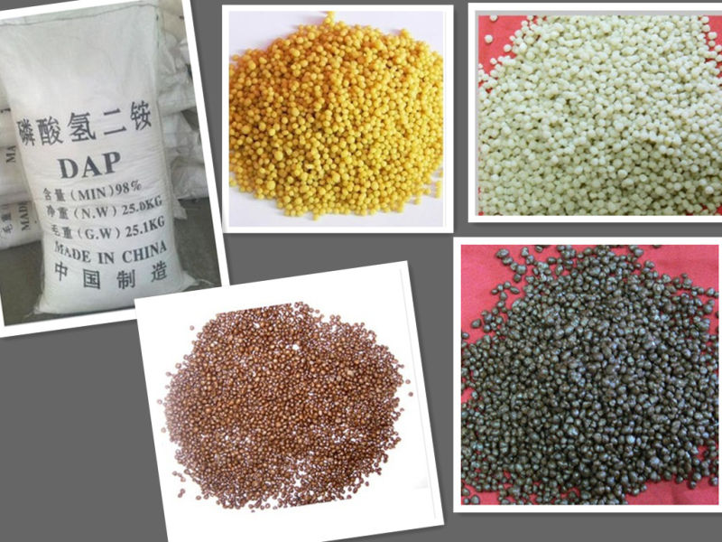 Diammonium Phosphate Fertilizer Grade, DAP (18-46-00)