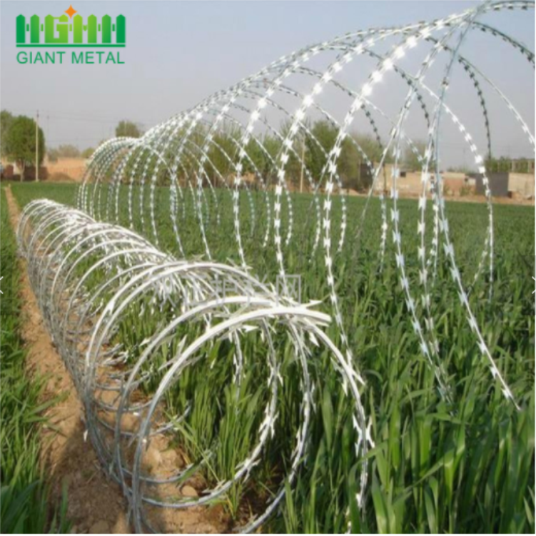 Hot-dipped Galvanized Razor Wire Roll  Mesh Fence