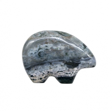 Ocean Jasper Animals 2020 0518