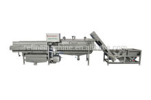 fruit washing line Fruit washer Fruit processing machine