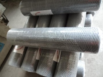 Dubai market electric galvanized hexagonal wire mesh