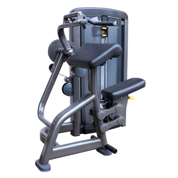 Biceps Triceps Arm Strength Equipment