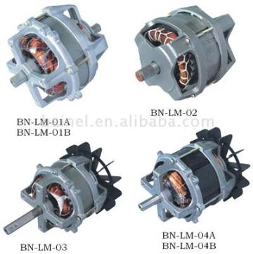 Lawnmower Motor