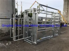 Hot Dipped Galvanized Cattle Squeeze Cattle Chute Cattle Crush