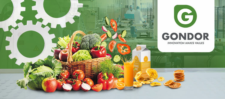 Mango Date Automatic Cherry Vegetable Fruit Olive Garlic Size Grading Sorting Machine for Fruit and Table