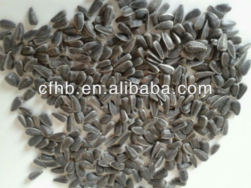 Low Price Sunflower seeds for oil