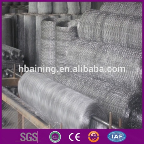 Specialized Production Galvanized hexagonal wire mesh and pvc coated Hexagonal Wire Mesh