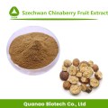 Extrait de toosendan naturel poudre de fruits de chinaberry szechwan