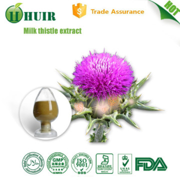 Natural Organic Milk Thistle Seed Extract powder