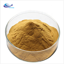 Olive Leaf Powder Extract Oleuropein Dietary Supplement