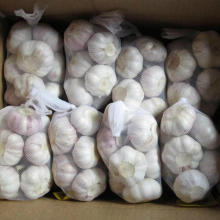 Small Packing Fresh Garlic 2020 new Crop