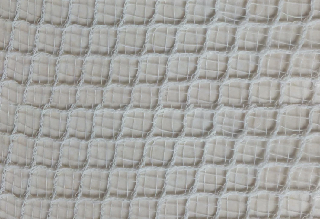 Anti Hail Net