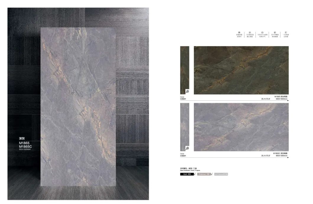 Matt/Polished Surface 900X1800mm Dark Gray Floor Tile