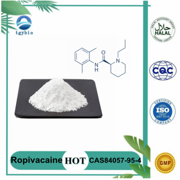 Hohe Reinheit Cas84057-95-4 Ropivacain Pulver zur Schmerzlinderung