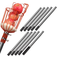 Motorized Telescoping Pole Saw