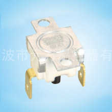 Manual Reset Ceramic Thermostat?