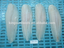 Frozen Pangasius Fish