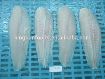 Frozen Pangasius Fish