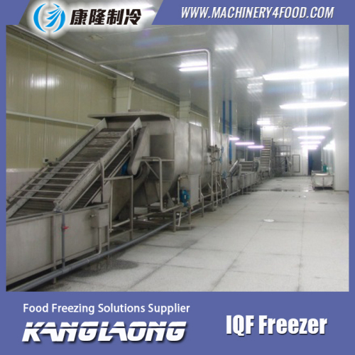 3000Kg/H IQF Frozen Eggplant Quick Freezing Freezer With Low Price