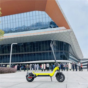 Best Selling 800W Scooter Electric Europe Warehouse