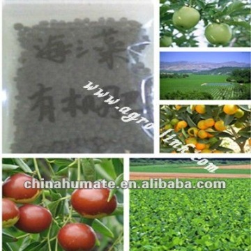 Seaweed Organic Fertilizer(HOT) sell