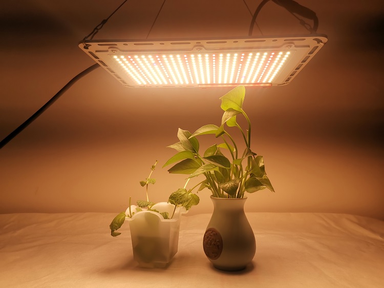 Quantum Board Grow Light