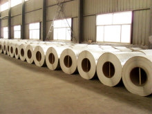 pvc membrane