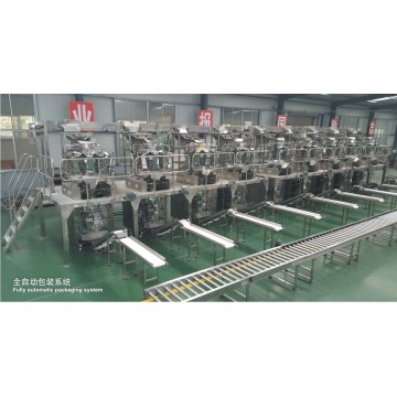 Vertical automatic weighing and bagging machine