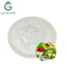 Serrapeptase Powder for Health Supplement Formulations