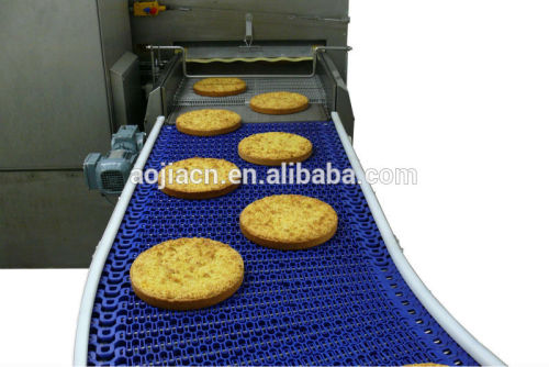 Belt conveyor/Chain Conveyor price