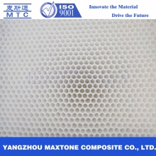 Plastic Polypropylene Honeycomb Core Panel