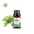 Factory Supply 100% Pure Cypress Essential Oil