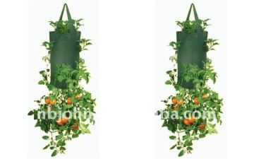 tomato planter bag