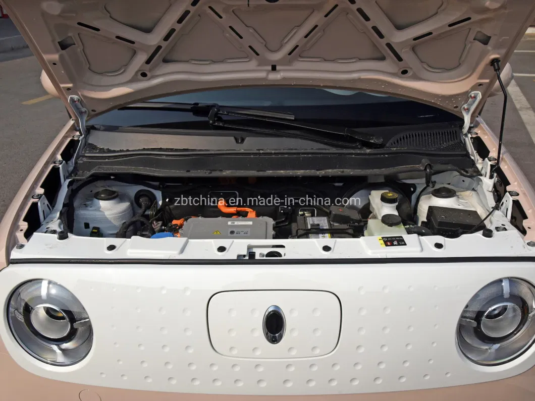 China Brand New Gwm Ora R1 Mini EV SUV 5 Doors 4 Seat Hatchback Minicar Smart Electric Car for Hot Sale