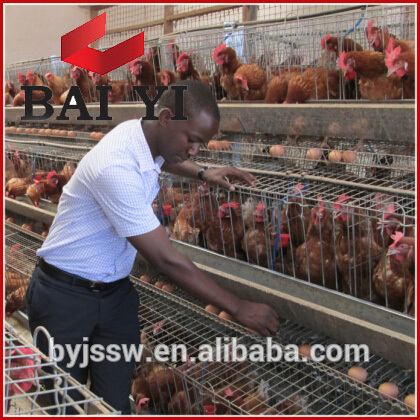 Cheap Price Battery Cages ,Commercial Egg chicken house design for layers