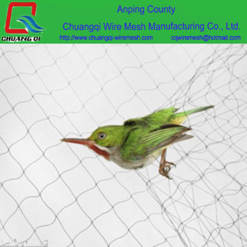 Black Silk bird net to catch live bird with 5 pocket/ nylon bat nets to catch birds for china factory