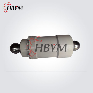 Q60 Q80 Putzmeister Swing Cylinders